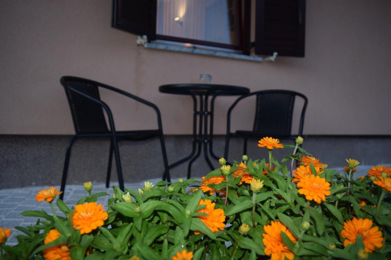 Apartman Nino Novigrad  Екстериор снимка